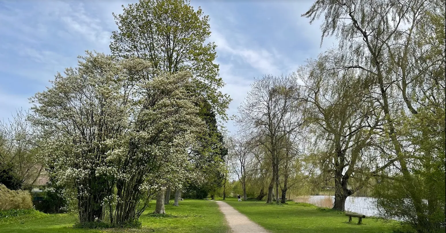 Forår ved stien