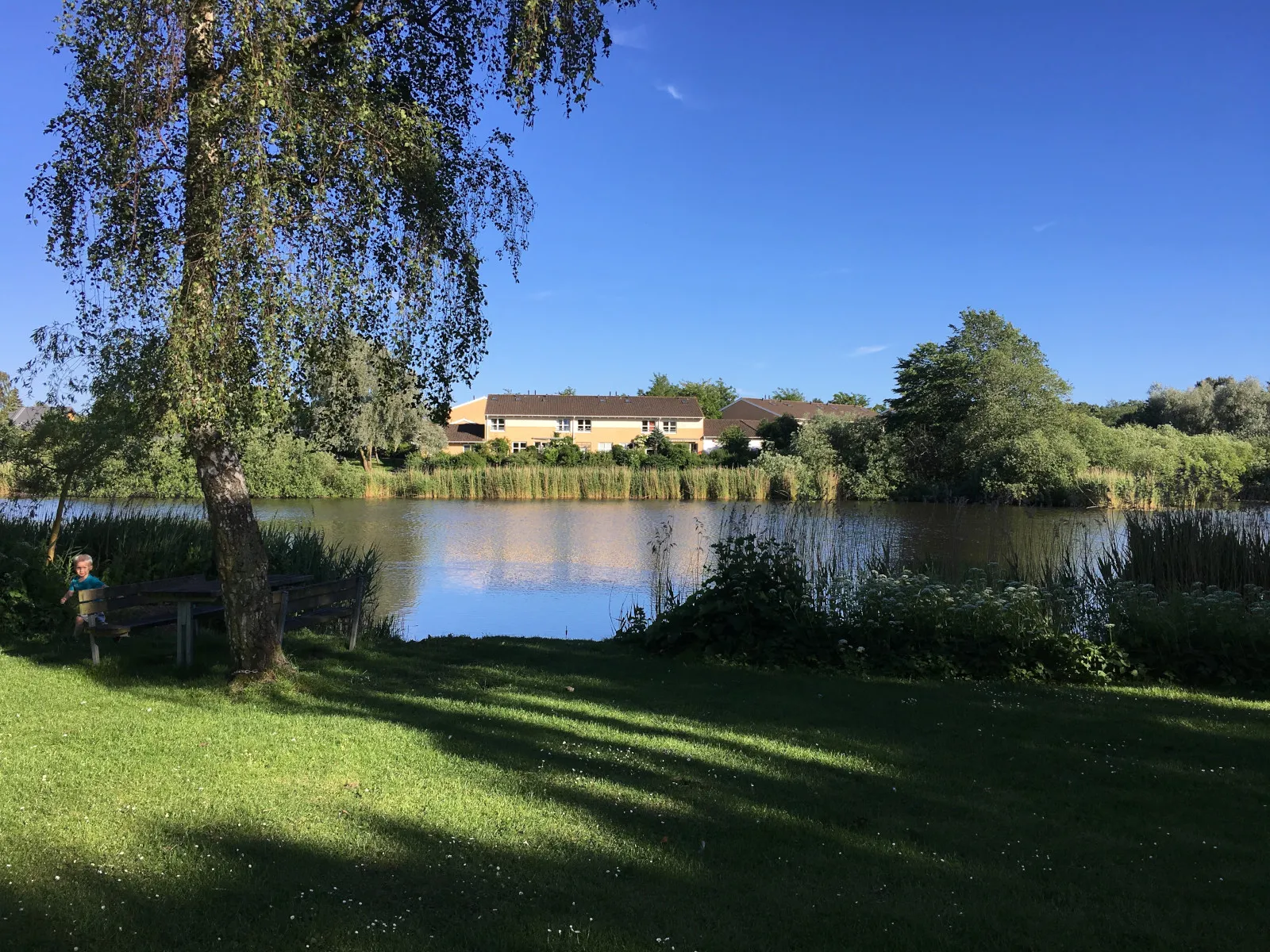 Vesterled Sø en sommerdag